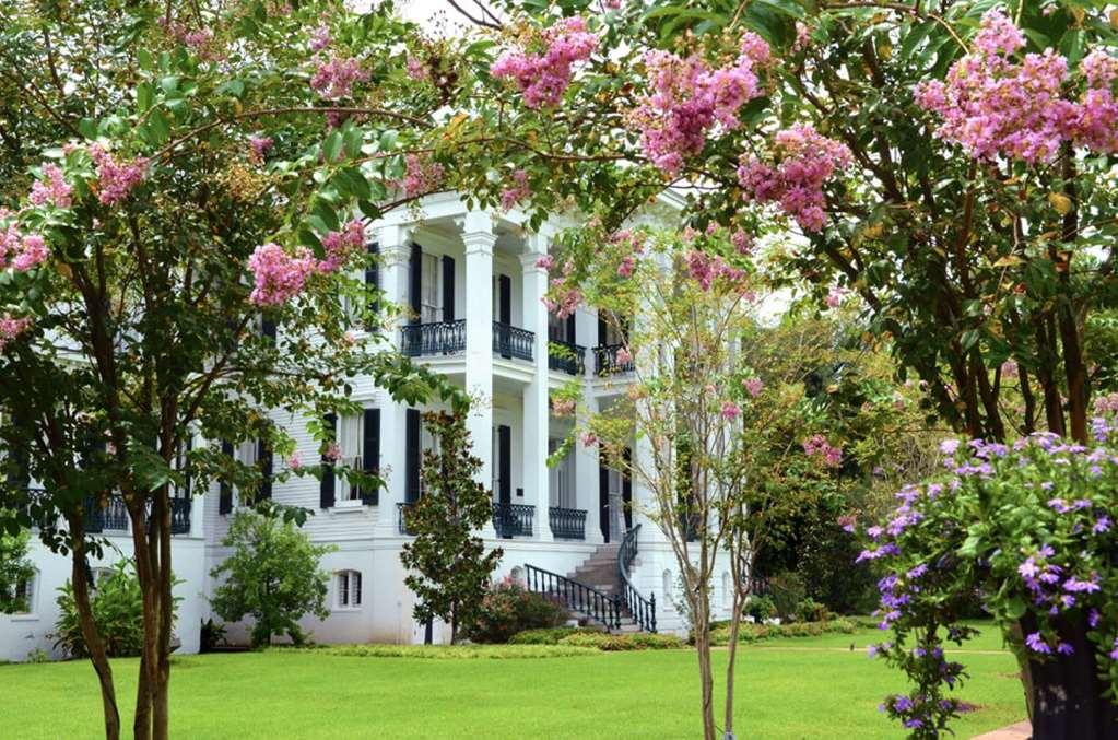 Nottoway Plantation And Resort White Castle Exterior photo